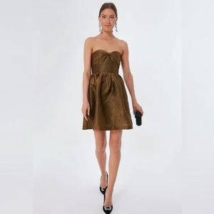 Tuckernuck Bronze Strapless Dress NEW